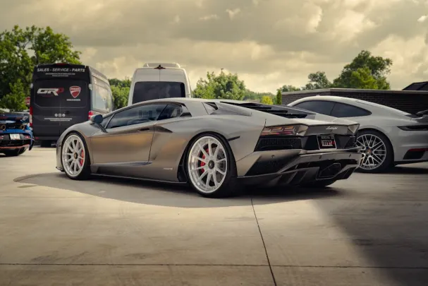 Dolly Casino Android/iOS Forrit